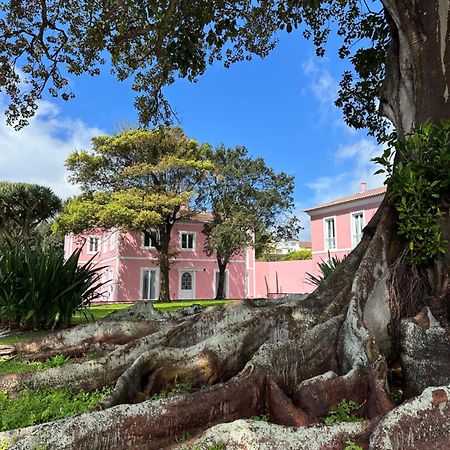 Solar Dos Cantos Botanic House & Garden Ponta Delgada Eksteriør billede