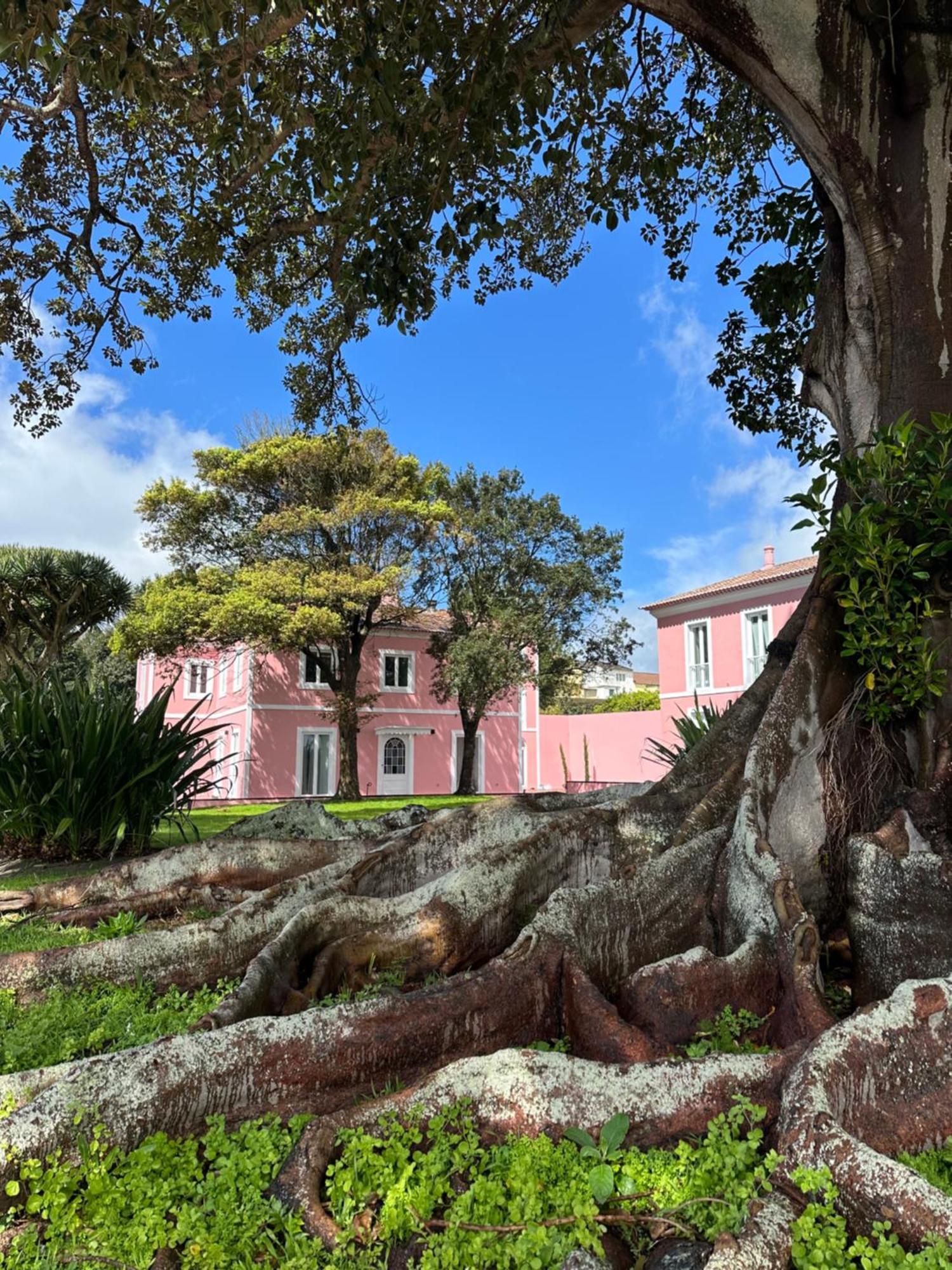 Solar Dos Cantos Botanic House & Garden Ponta Delgada Eksteriør billede