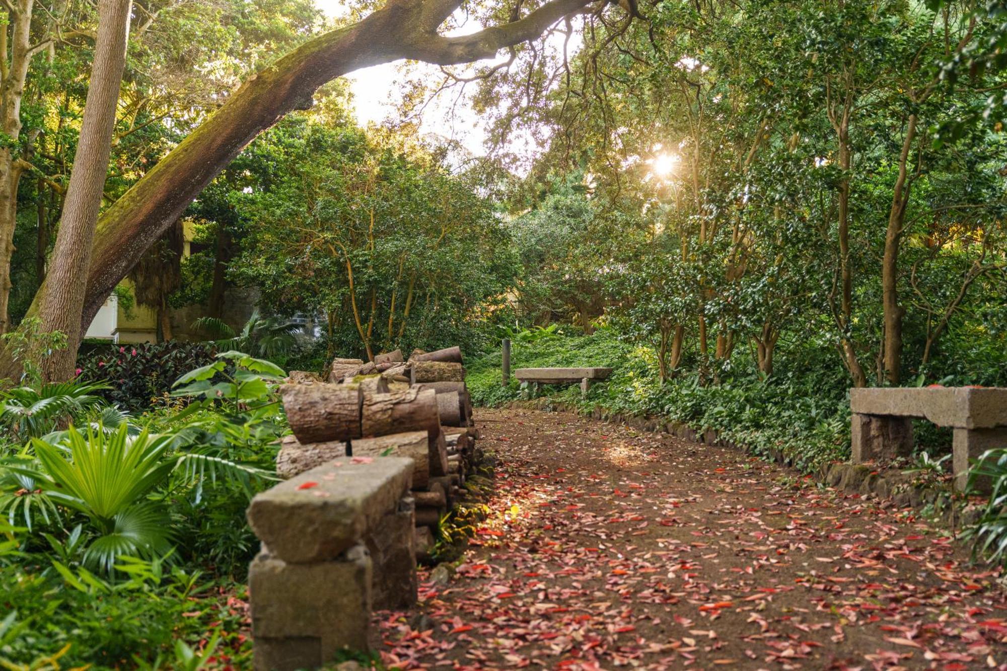 Solar Dos Cantos Botanic House & Garden Ponta Delgada Eksteriør billede
